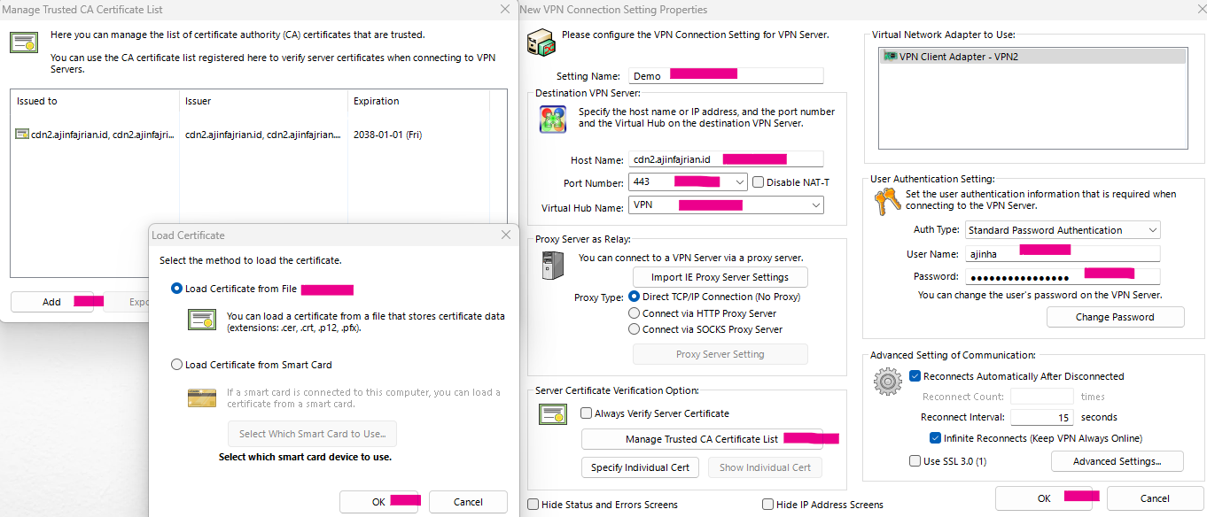 softether client config